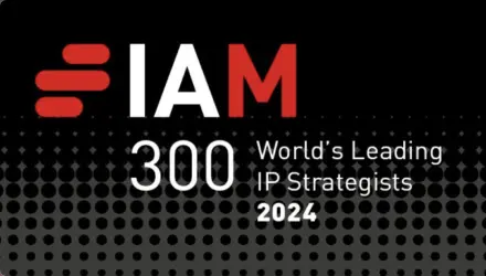 iam-300.webp